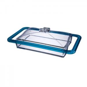 Hec vivo dessert tray with lid blue/transparent 10x24cm - hec