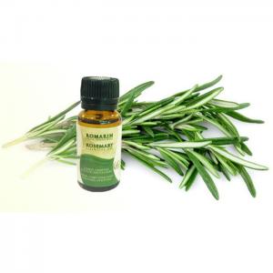 Rosemary, essential oil - 10ml - azoor