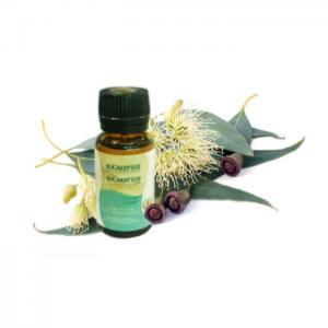 Eucalyptus, essential oil - 10ml - azoor