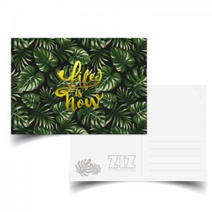 Postcard ziz tropics. life is now