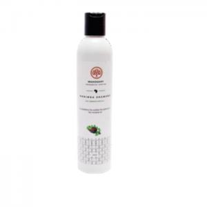 Moringa Shampoo 300Ml  - Mahogany Organics