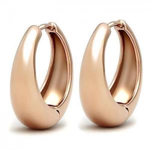 Tk1489 - ip rose gold(ion plating) stainless steel earrings with no stone - alamode