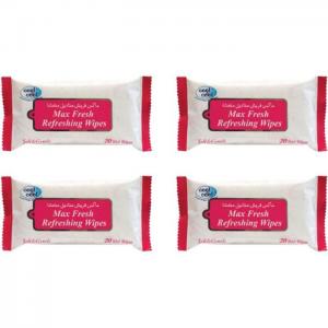 Cool & cool max fresh anti-bacterial wipes - cool & cool