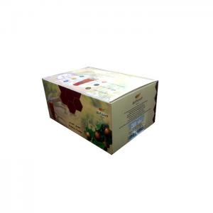 Tube Sider Honey 30g Box (24 pieces) - Asalbarri